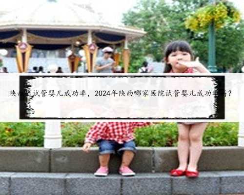 陕西省试管婴儿成功率，2024年陕西哪家医院试管婴儿成功率高？